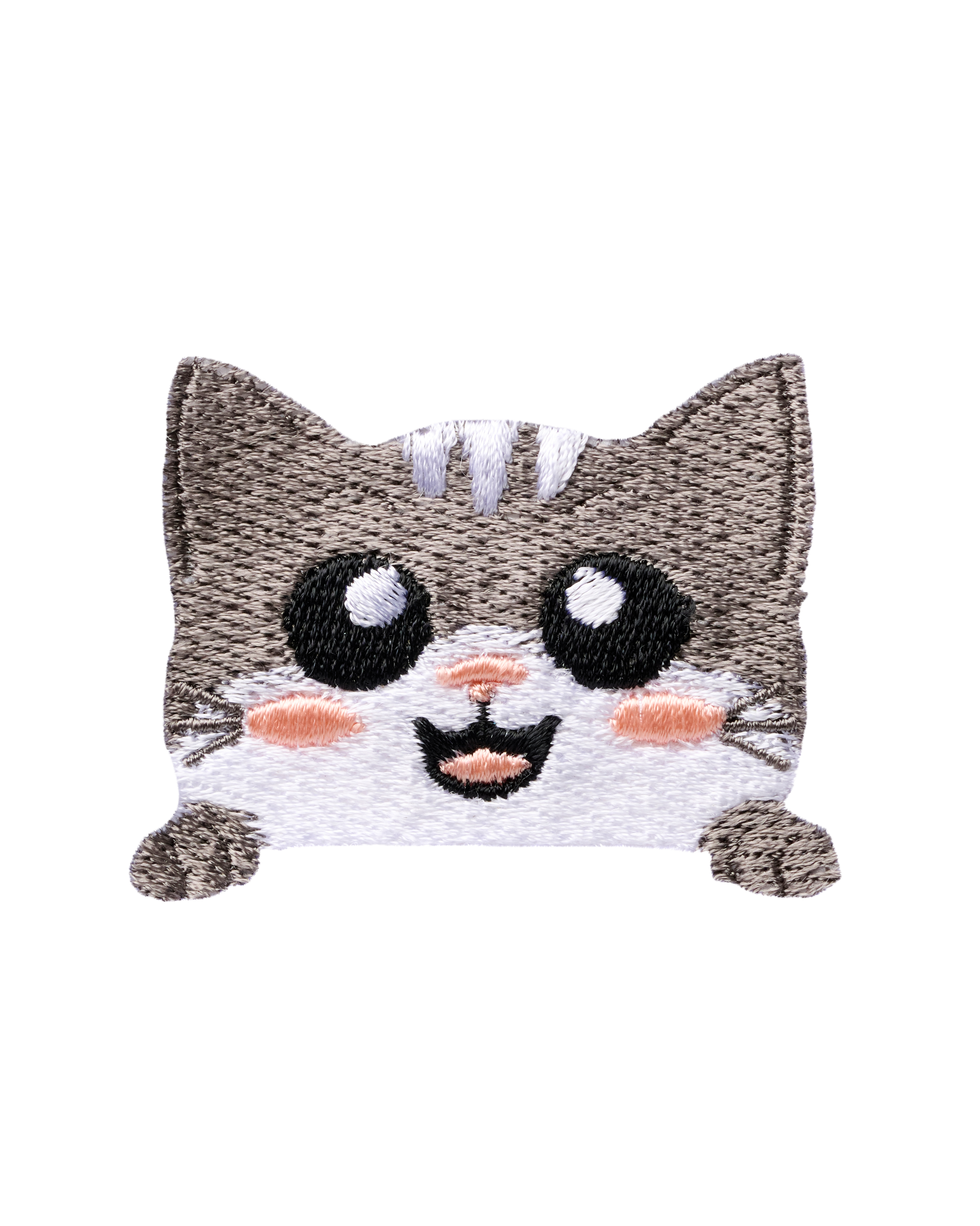 Calico Cat