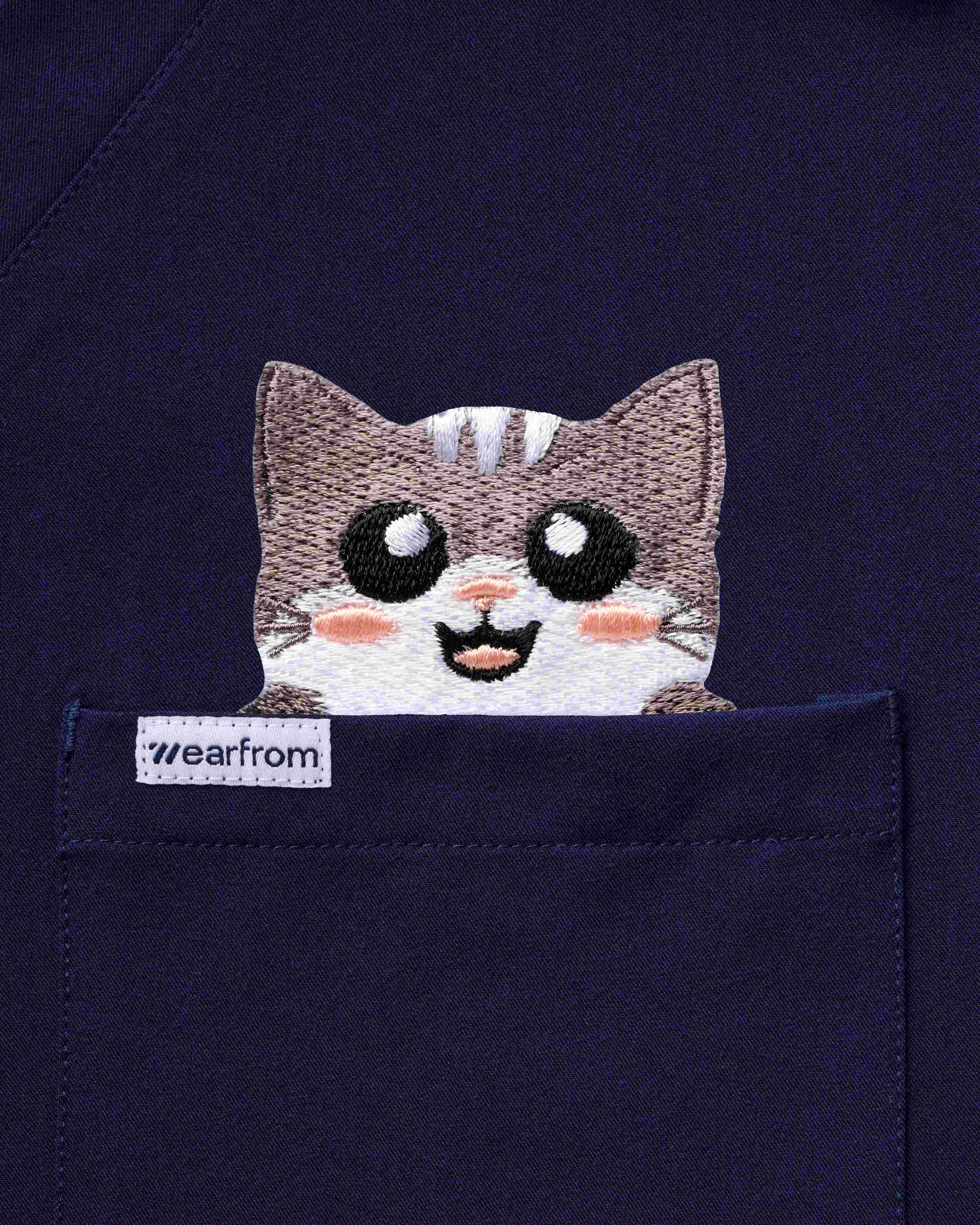Calico Cat