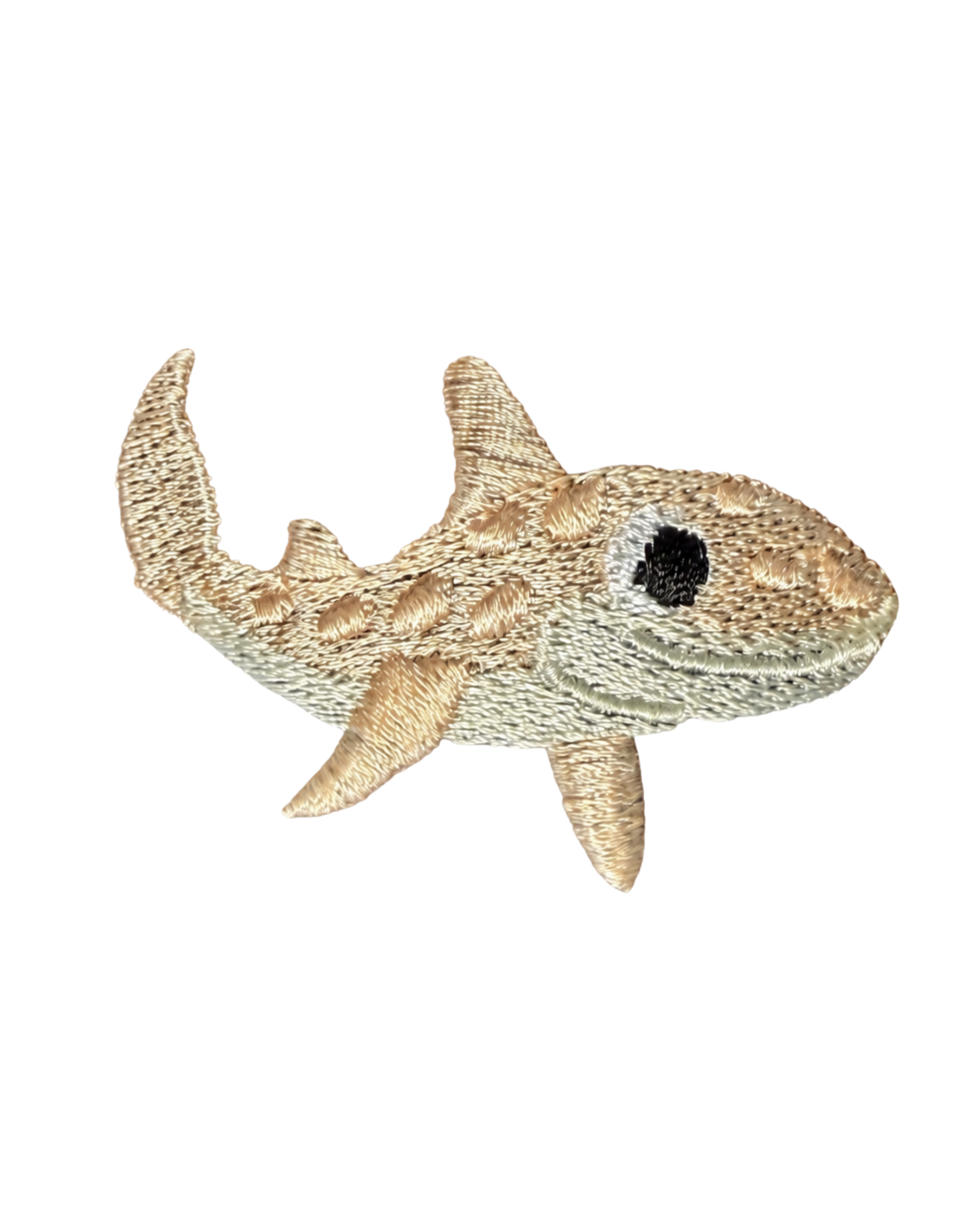 Zebra Shark